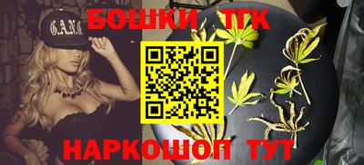 индика Будённовск