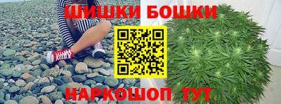 индика Будённовск