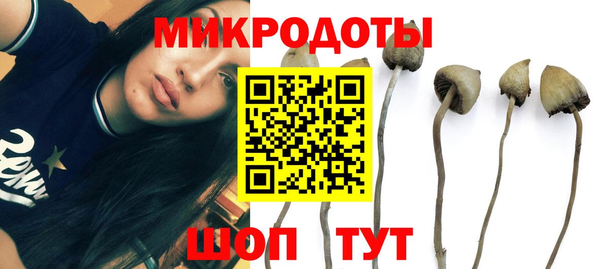 Галлюциногенные грибы ЛСД  Вход с VPN  Мегион 