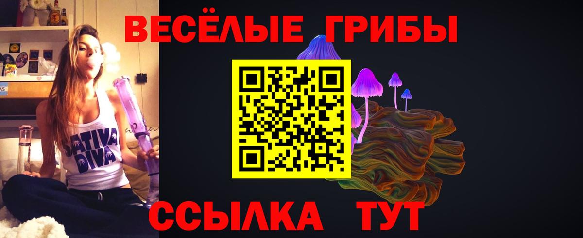 Мегион  Галлюциногенные грибы GOLDEN TEACHER  где купить наркоту  Псилоцибиновые грибы мицелий  Вход с VPN 