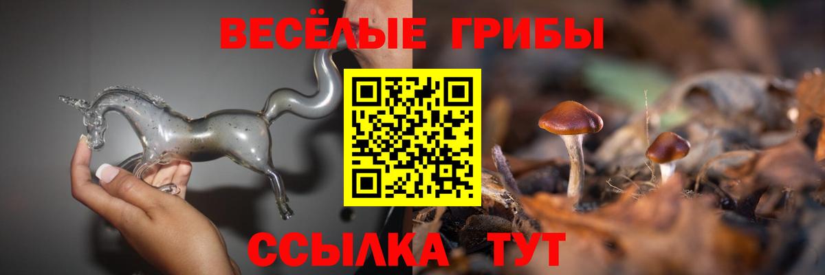 Галлюциногенные грибы ЛСД Мегион